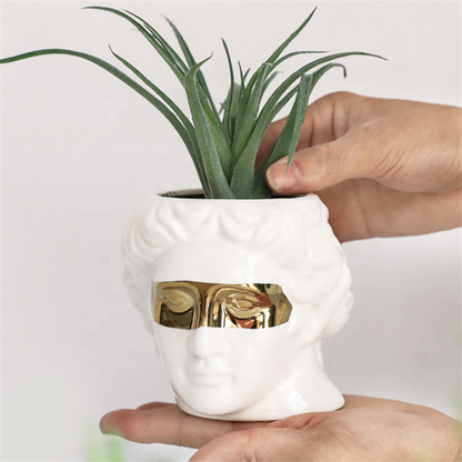 CV-009 David Head Shape Vase Succulents Figure Statue Flower Pot