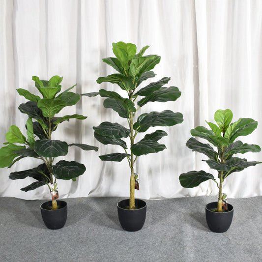 Simulated Ficus Pandurata Green Plant Potted Floor Decoration