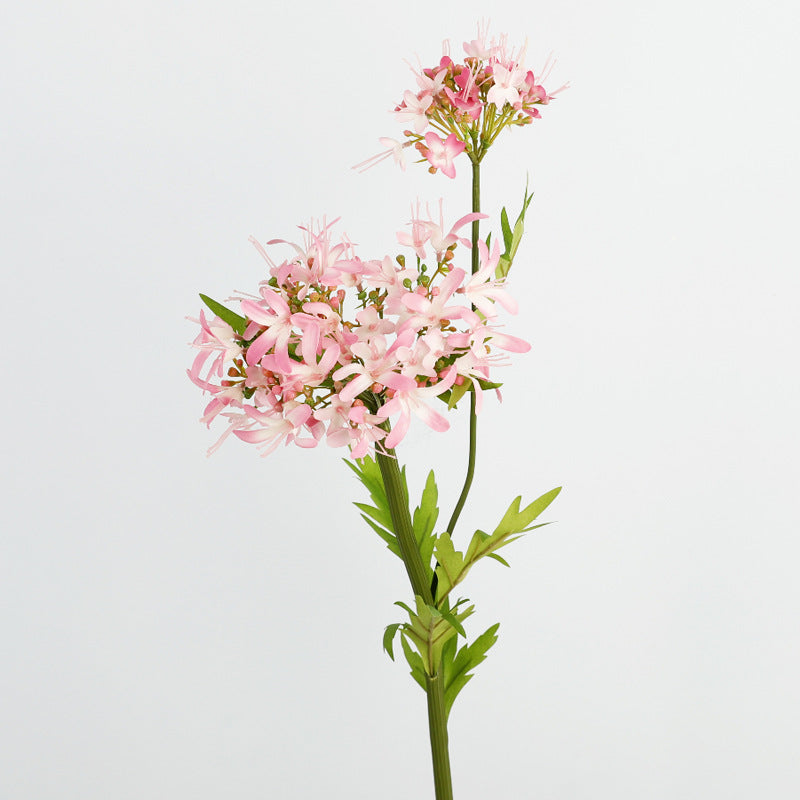 Simulita Bianan Flora Hejma Flora Aranĝo Dekoracio