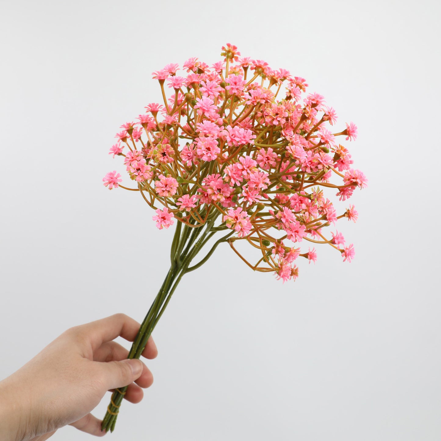 Simulated Flower Haworthia Minima Home Decoration Accessories