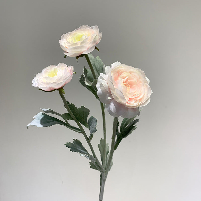 Lulian Simulado Floro Geedziĝa Floro