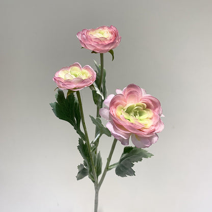 Lulian Simulado Floro Geedziĝa Floro