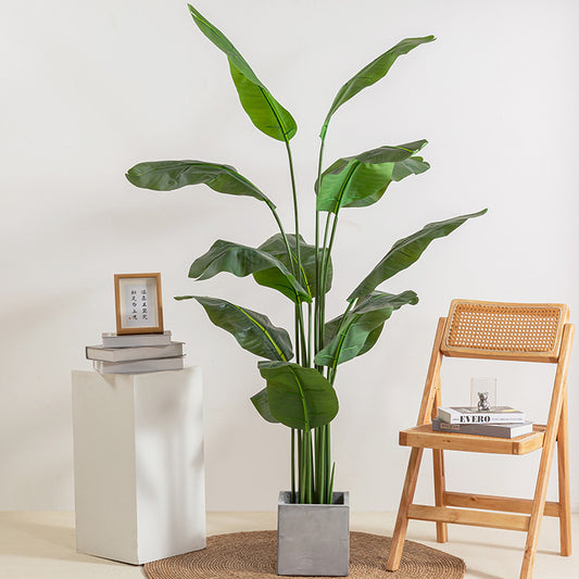 Wholesale Simulation Of Tourist Banana Potted Indoor Home Plants
