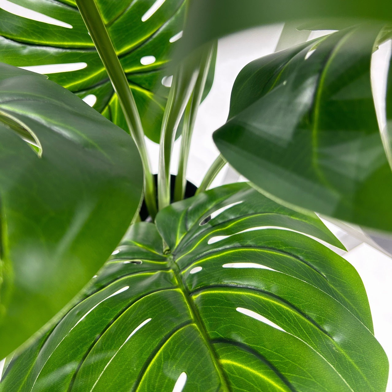 Имитированное растение, поддержанное черепахой, бамбуковое растение от пола до пола в горшке в гостиной