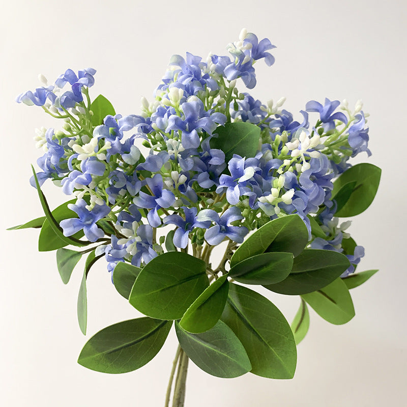 Simila Flora Aranĝo De Murraya Paniculata