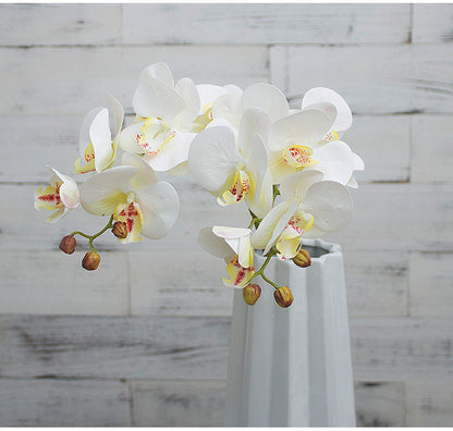3D-моделирование шестиголовой орхидеи-бабочки с реалистичным ощущением руки
