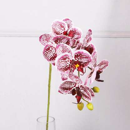 3D-моделирование шестиголовой орхидеи-бабочки с реалистичным ощущением руки